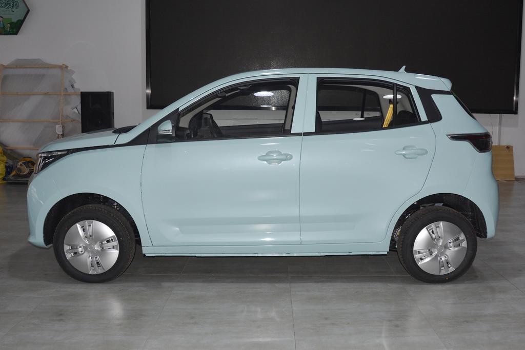 雷丁芒果新款车上市,雷丁芒果2022款续航200公里多少钱