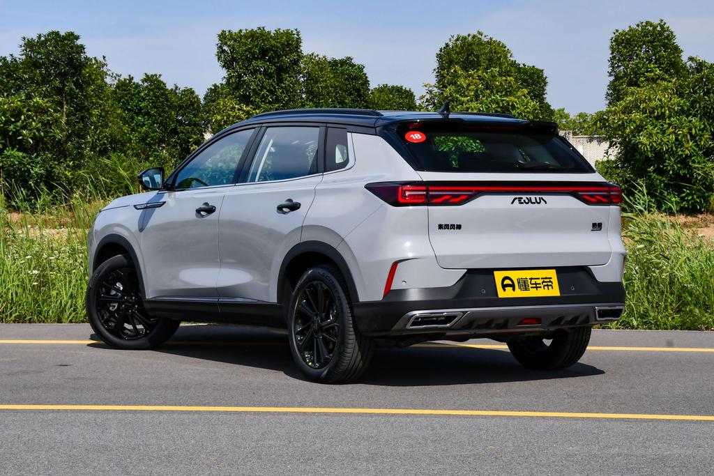 风神皓极马赫双擎用车感受,东风风神皓极混动推荐买吗