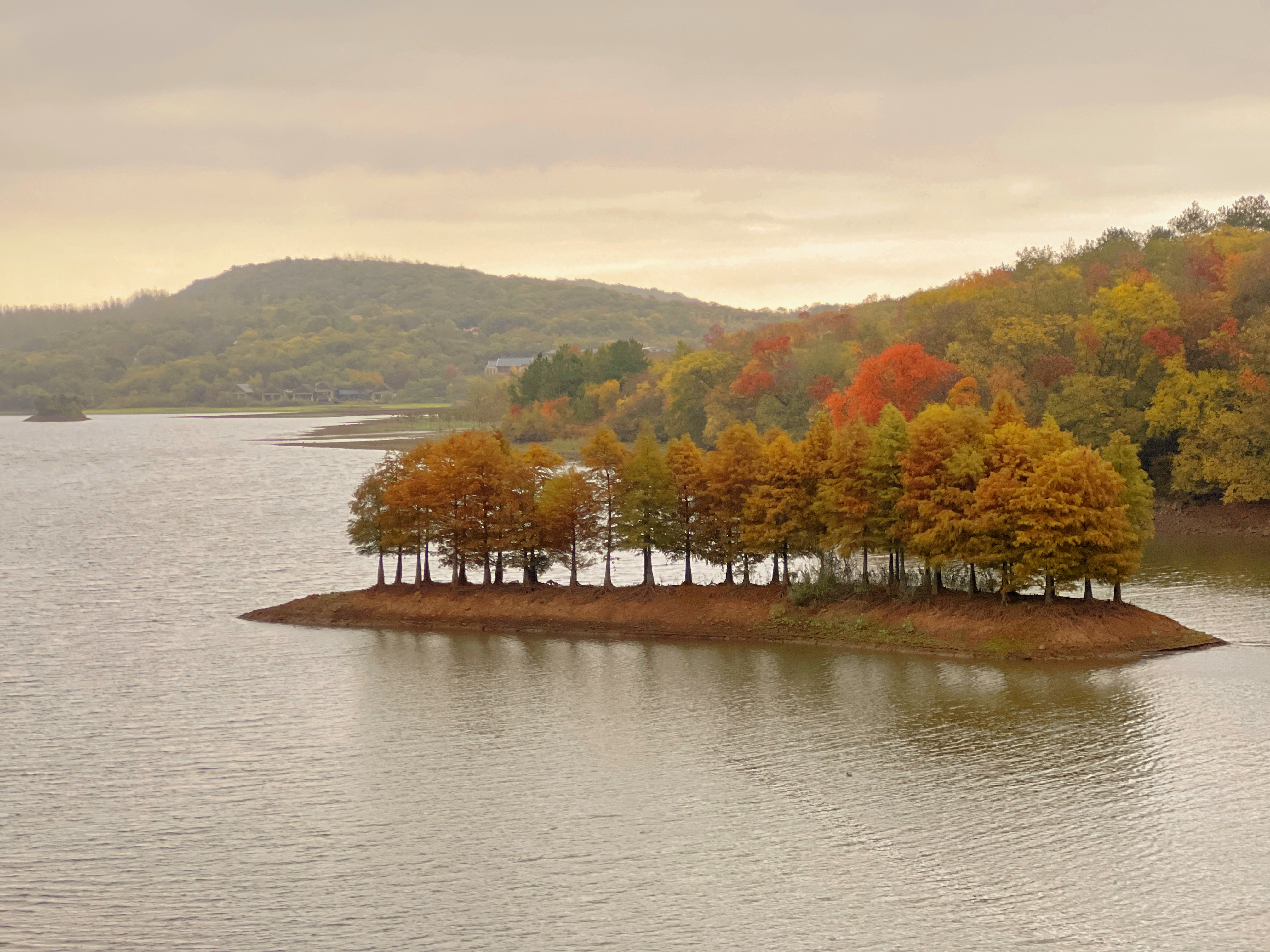 领克中心车主之旅,领克公司新车主自驾游