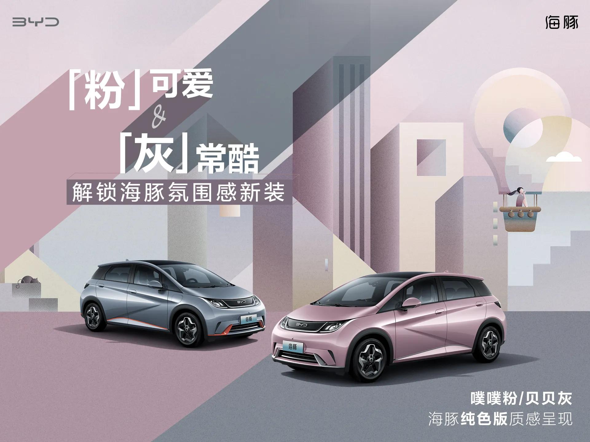 比亚迪海豚自由版纯色贝贝灰,海豚来啦