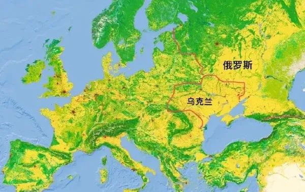 俄罗斯宝马销量,宝马在中国和印度的销量