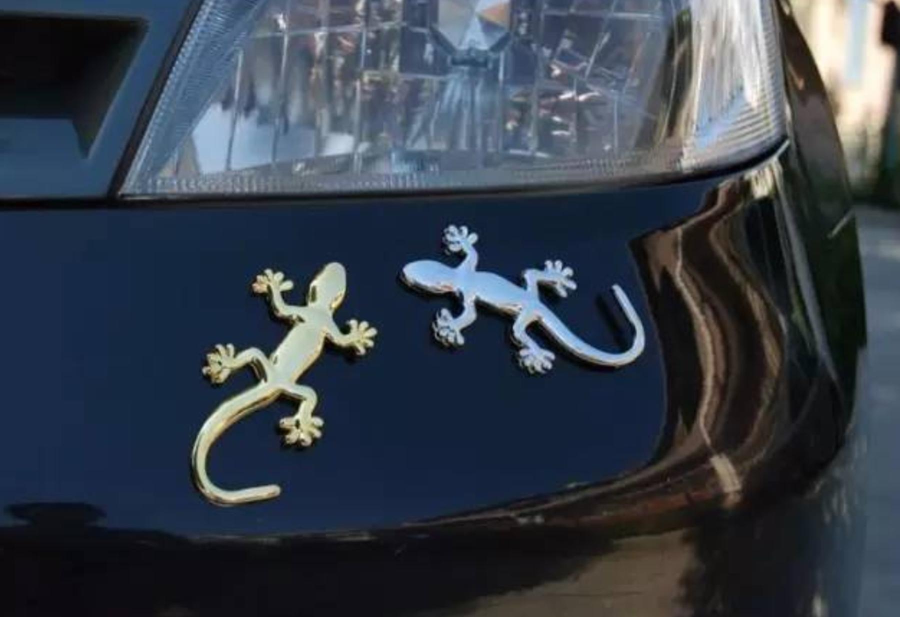 为什么都喜欢在汽车车身贴壁虎,车尾小壁虎一般都贴在什么地方