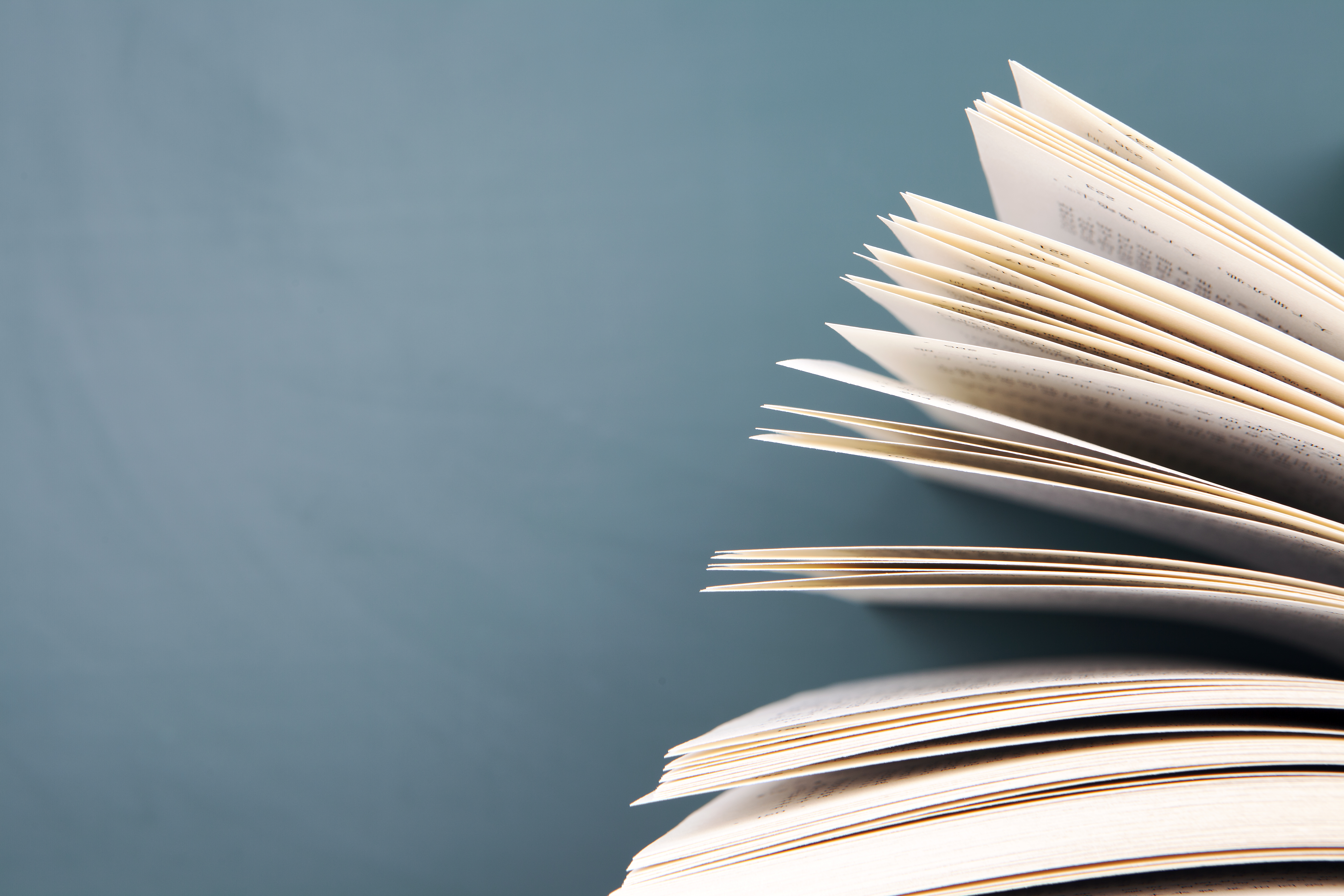 莱曼家族,德国莱曼血统