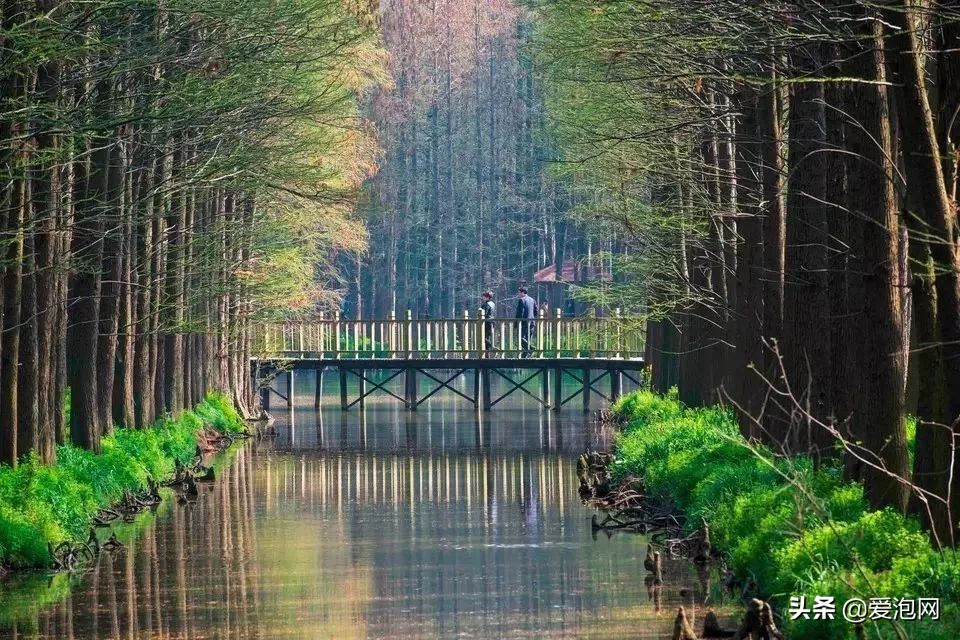 中国最美最好的自驾游线路,五一最火热的自驾游线路推荐
