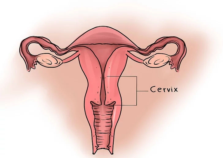 更年期外阴萎缩症状,外阴萎缩痒用什么药