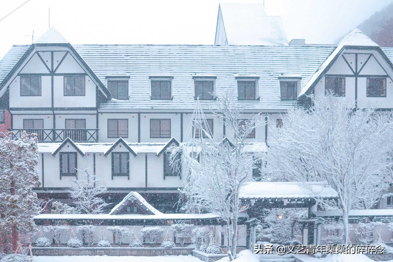 冬季日本的自驾游攻略,冬日游日本名古屋攻略