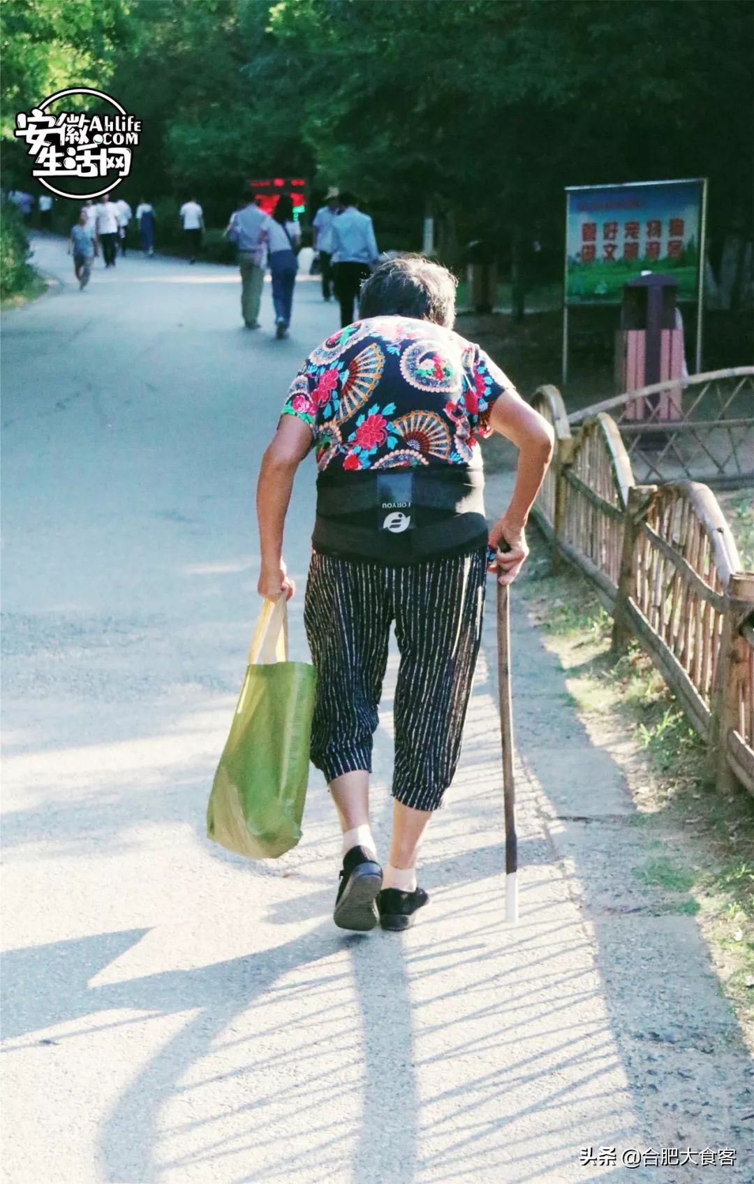 合肥大蜀山的秘密,合肥大蜀山的由来