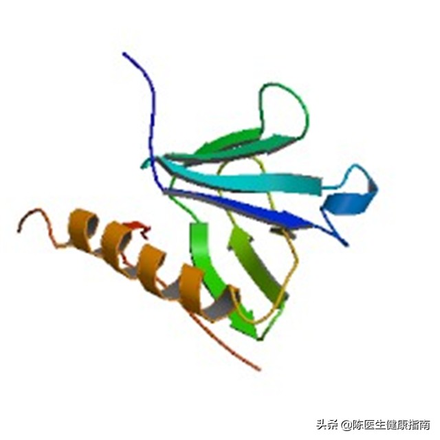 得了糖尿病后胃口越来越差怎么办,糖尿病胰岛功能会越来越差么