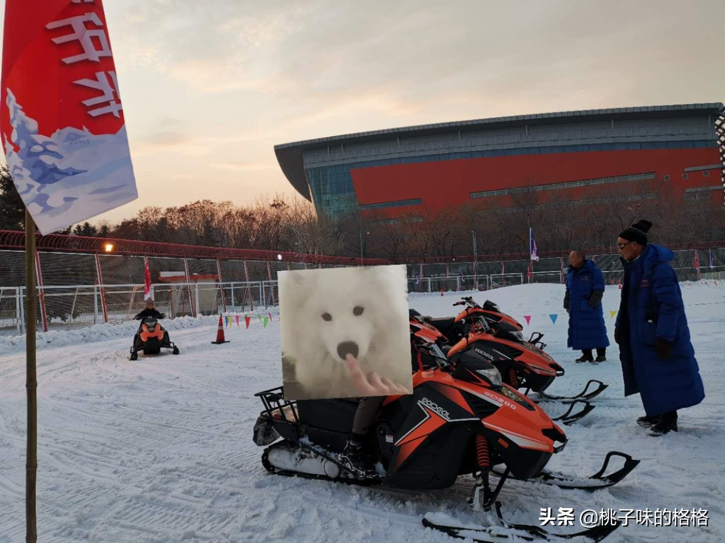 沈阳奥体冰雪嘉年华值不值得去,沈阳丁香湖奥悦冰雪嘉年华