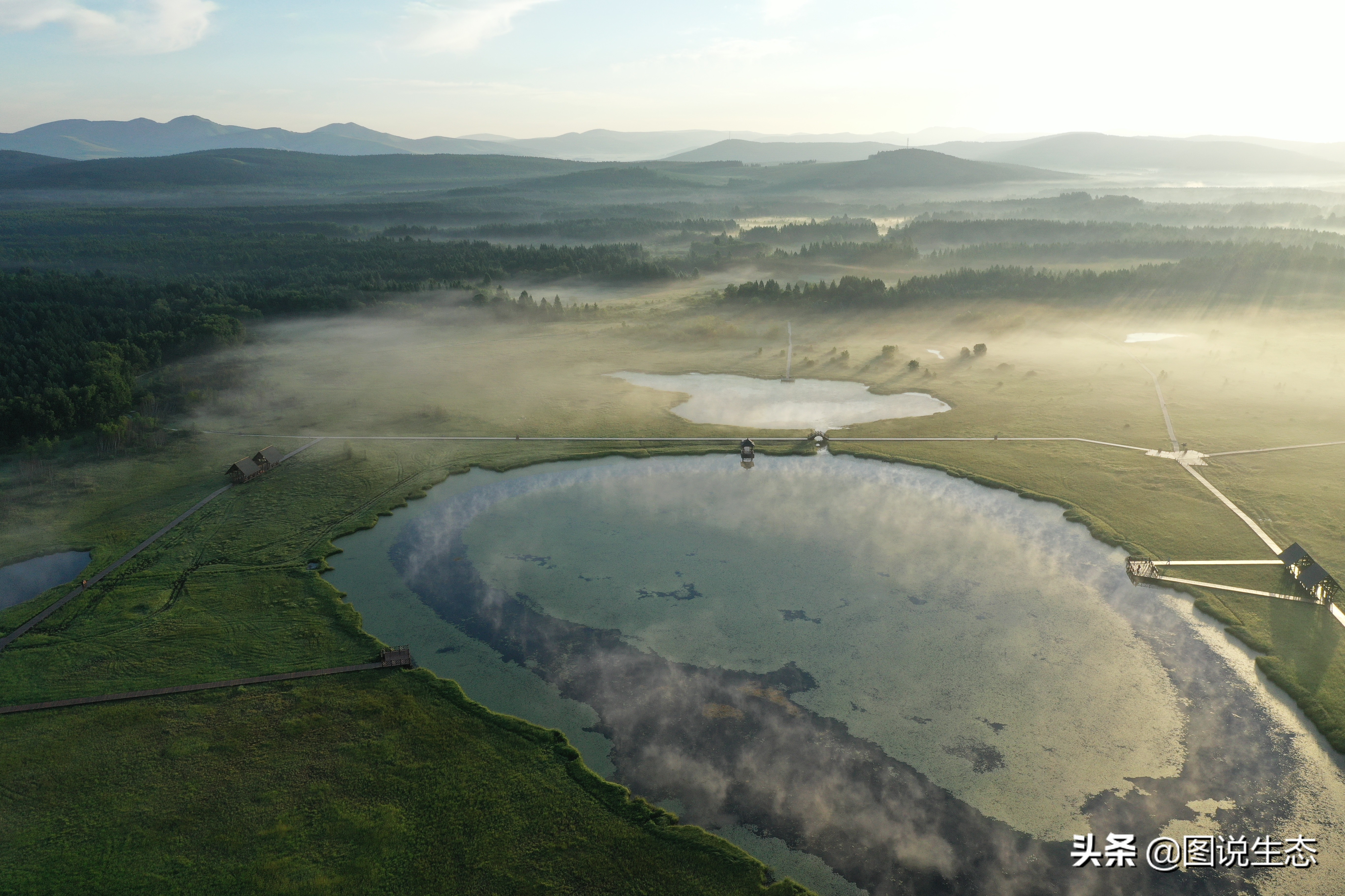 一口气看完塞罕坝全篇,参观塞罕坝有感1000字