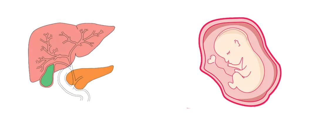 如何判断胆囊炎严重程度,如何判断胆囊炎严重不严重