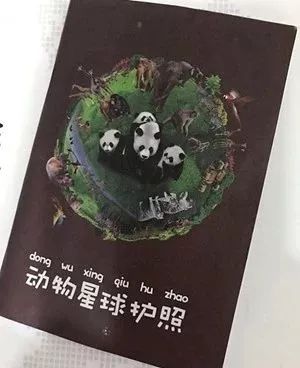 带娃广州长隆2天1夜旅游攻略,带娃自由行长隆旅游攻略