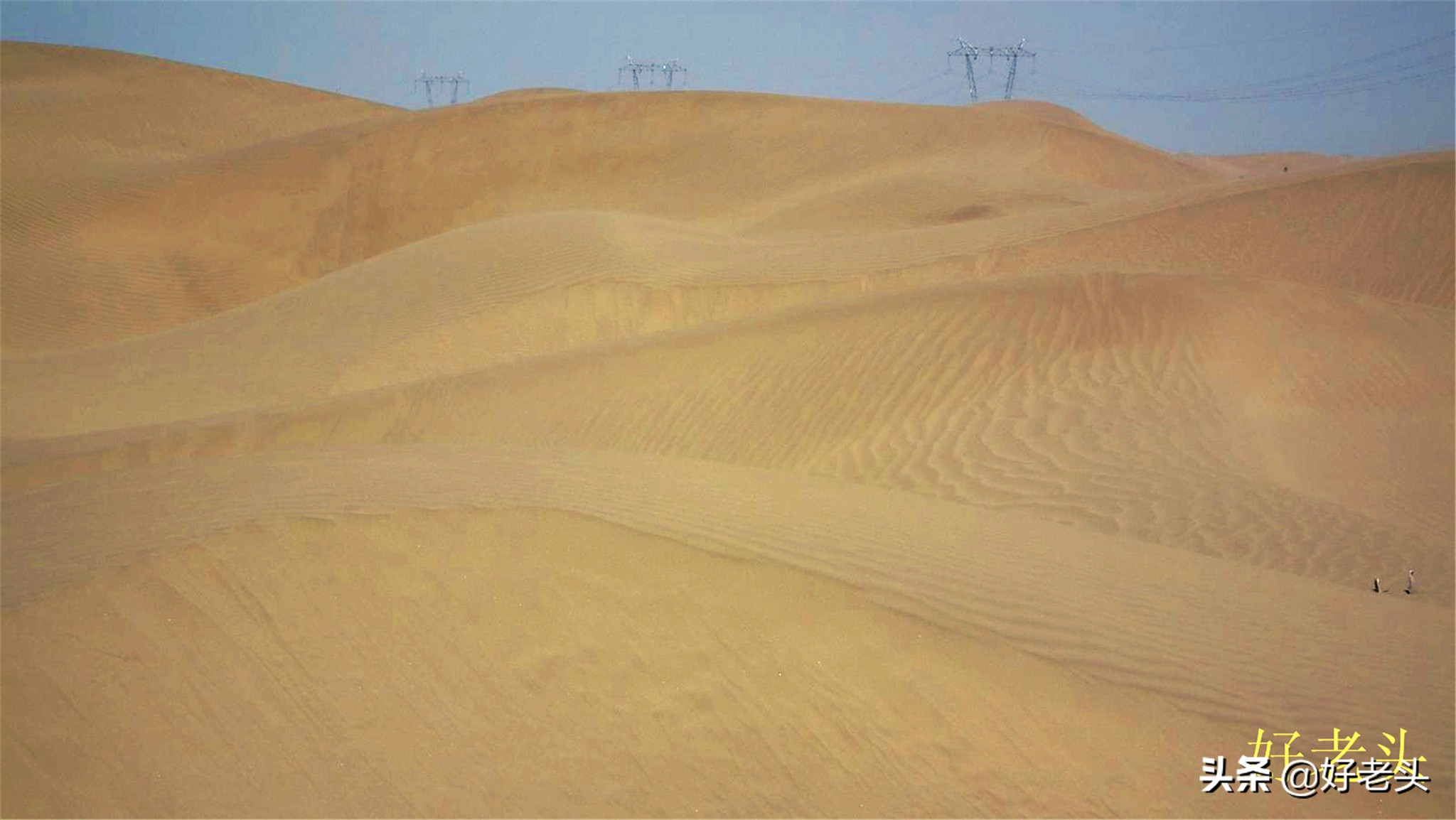 库尔勒轮台胡杨林风景区,胡杨林景区轮台