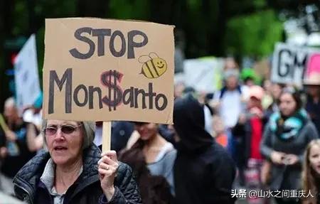 DDT、橙剂、转基因:生态环境摧毁者—孟山都