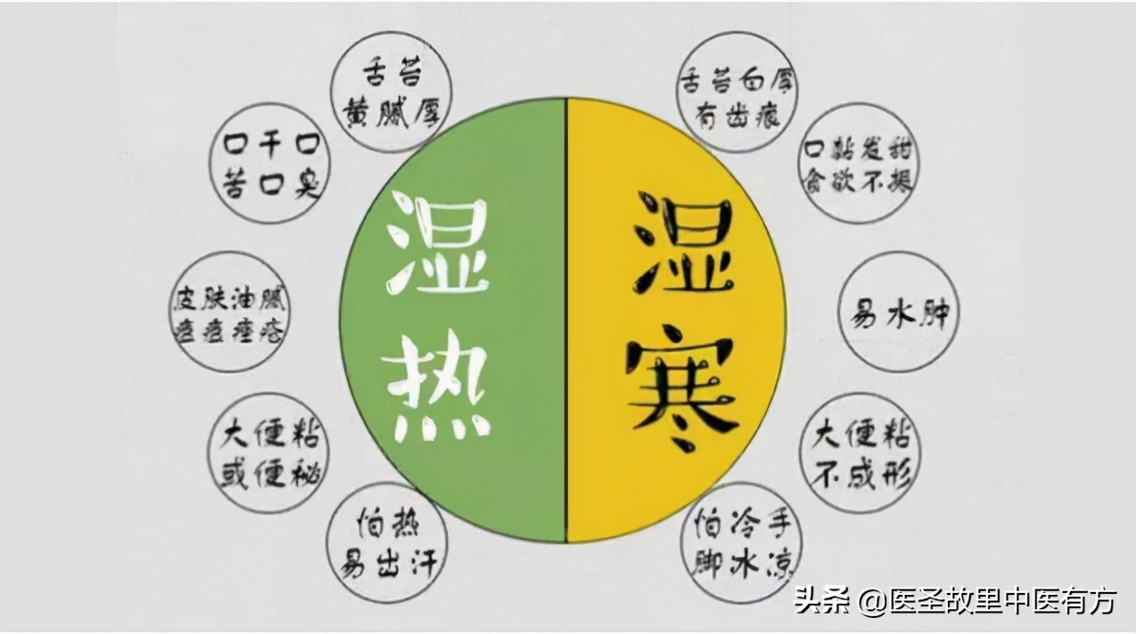 二妙丸治疗下焦湿热的验方,中医除湿热名方