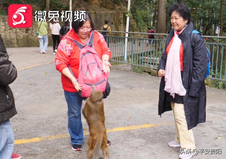 越来越嚣张了怎么办,越来越嚣张怎么解决