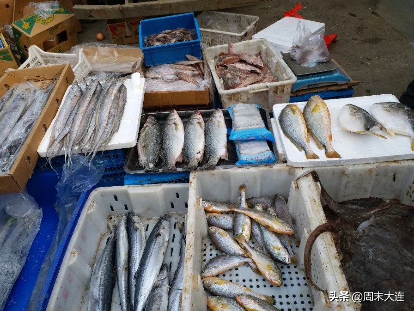 去马栏子大沟市场怎么走,马栏子海鲜市场和大沟早市