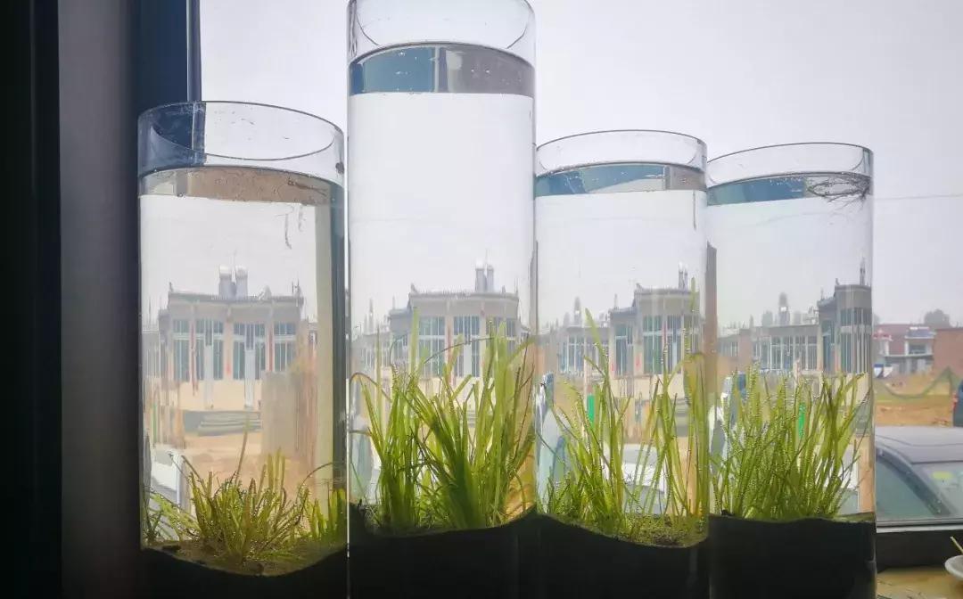 五一假期带着爸爸妈妈宝贝们钓虾,五一假期跟爸爸一起去田间劳动