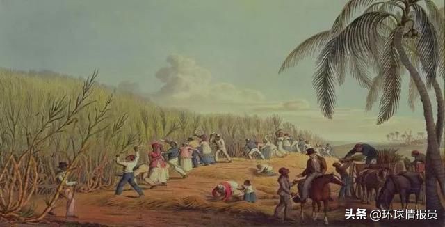 圭亚那有多少印度人,圭亚那人口总数