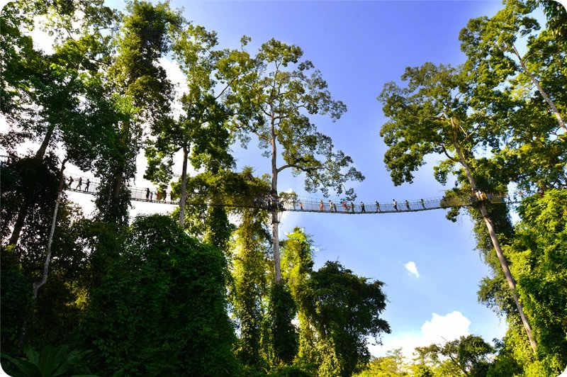 七彩云南雨林探险,游七彩云南西双版纳掠影之一