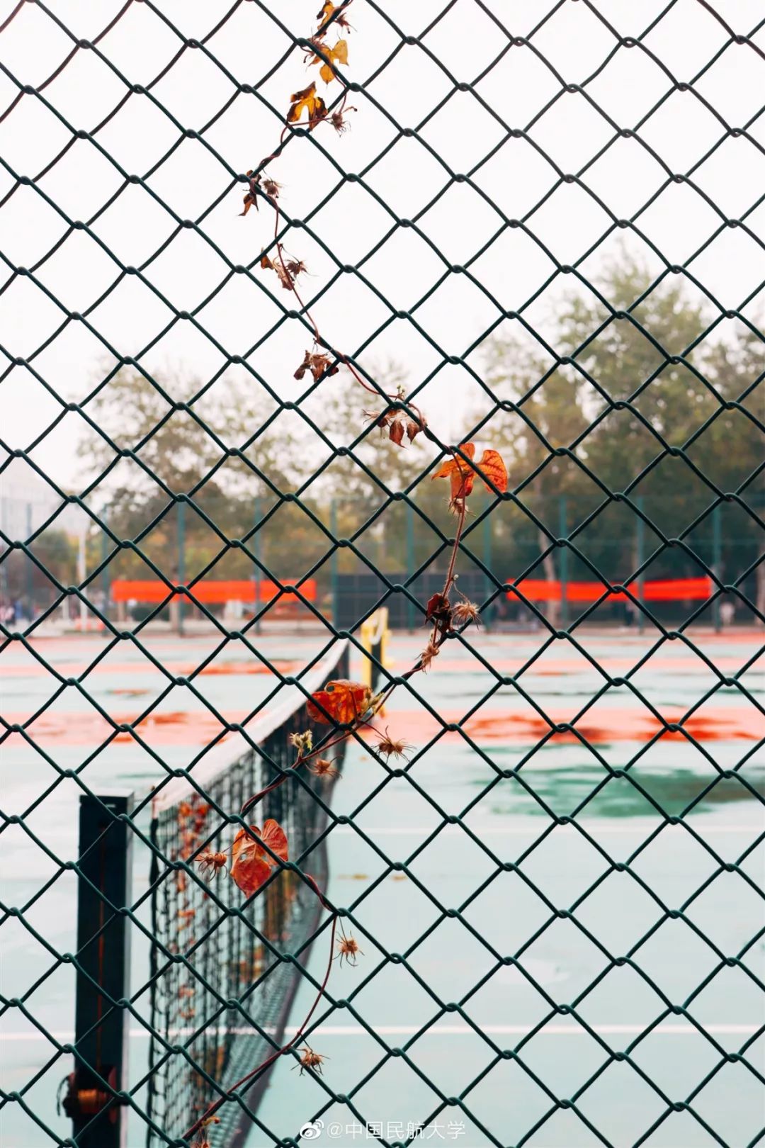 中国民航大学，是时候火了