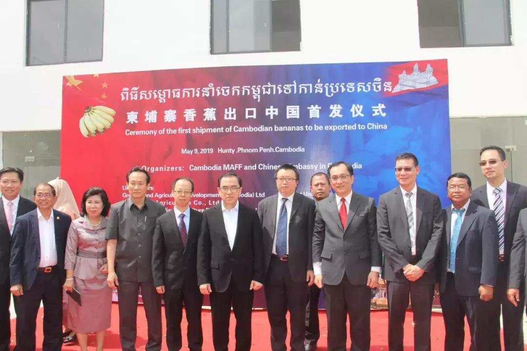 柬埔寨香蕉上海,中国进口柬埔寨香蕉吗