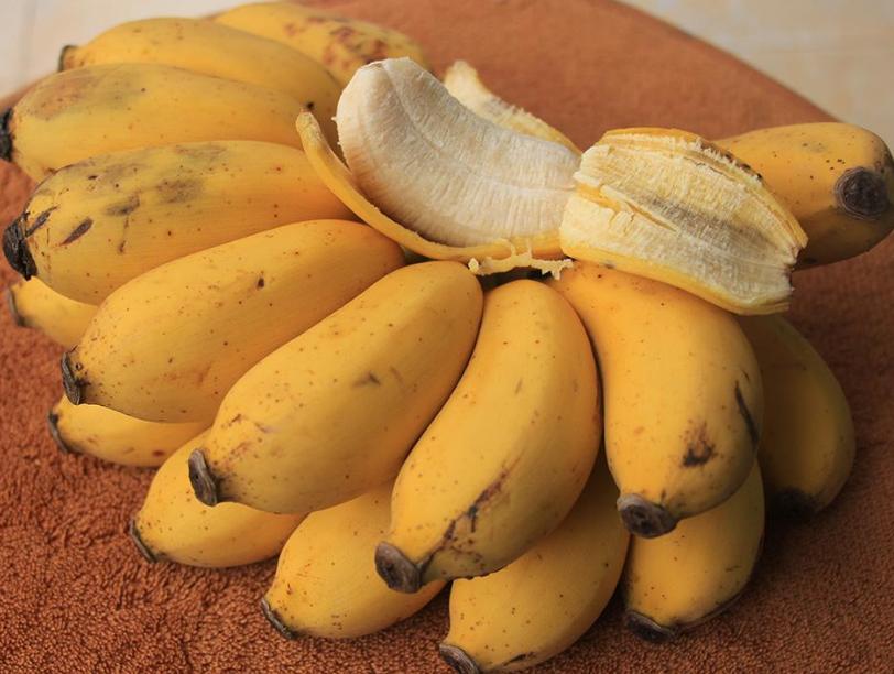 盘点泰国随处可见的5种便宜水果，却被在中国颇受欢迎