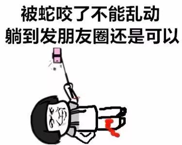 野外遇见巨型眼镜王蛇,近两米长眼镜王蛇