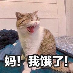 五一抽大奖活动,五一礼包抽奖