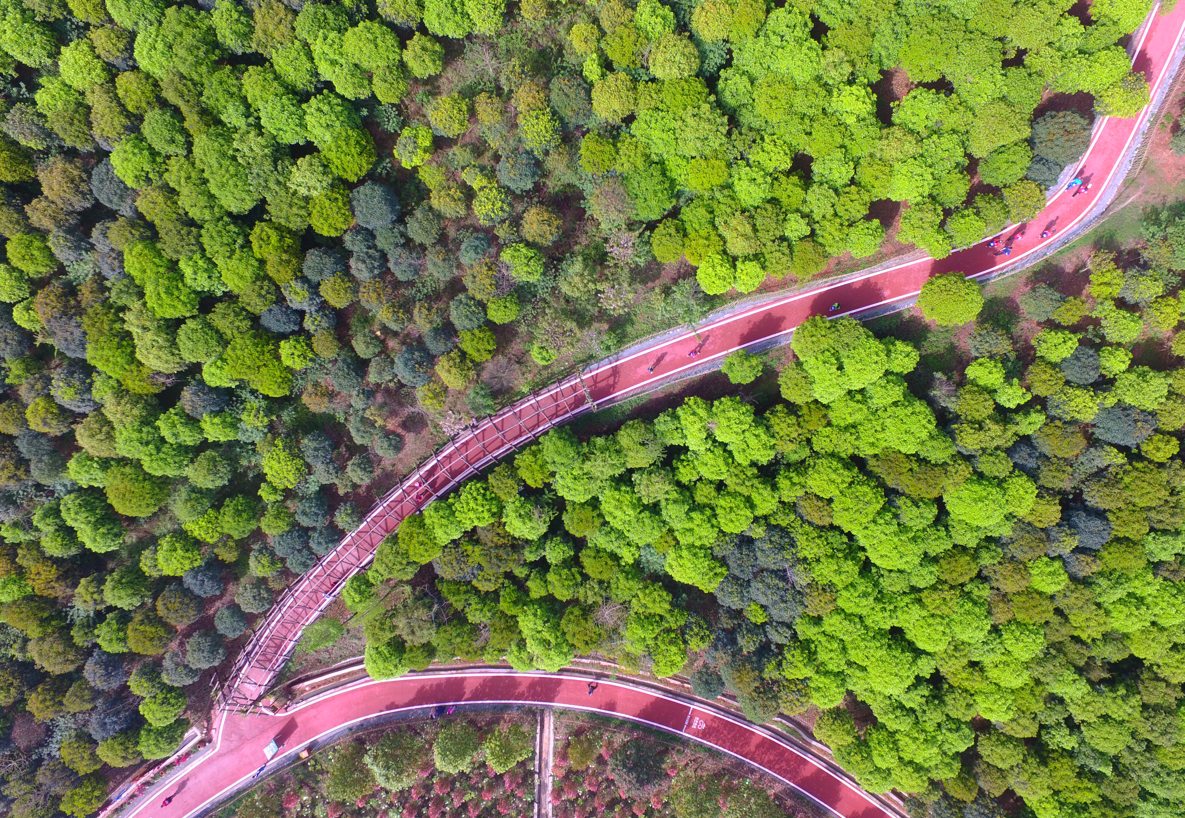 骑游绿道攻略,成都田园生态徒步游