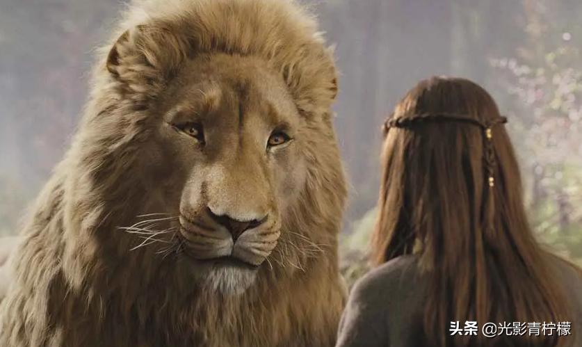 魔戒纳尼亚传奇哈利波特,纳尼亚传奇和哈利波特分院帽