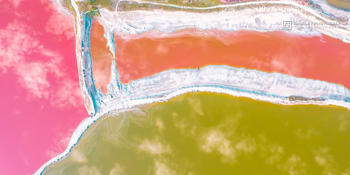 被中国人吃到濒临灭绝的食物,被中国人吃了千年不灭绝的食物