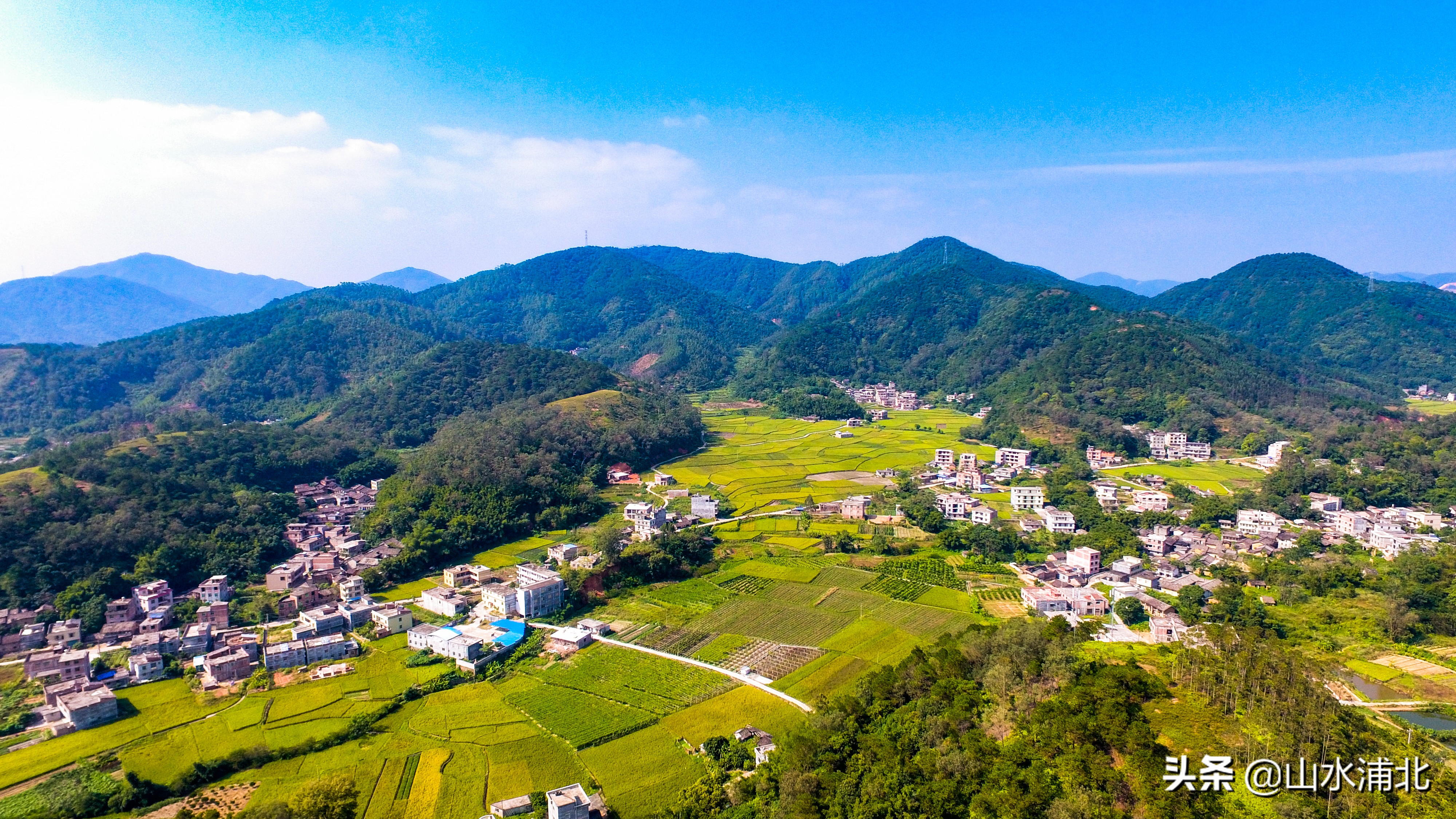 浦北县特色产业助力乡村振兴,产业发展势头旺乡村振兴干劲足