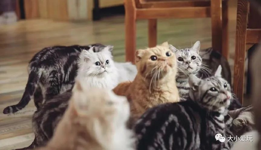 北京主题星空餐厅哪里的好,北京太空舱主题餐厅