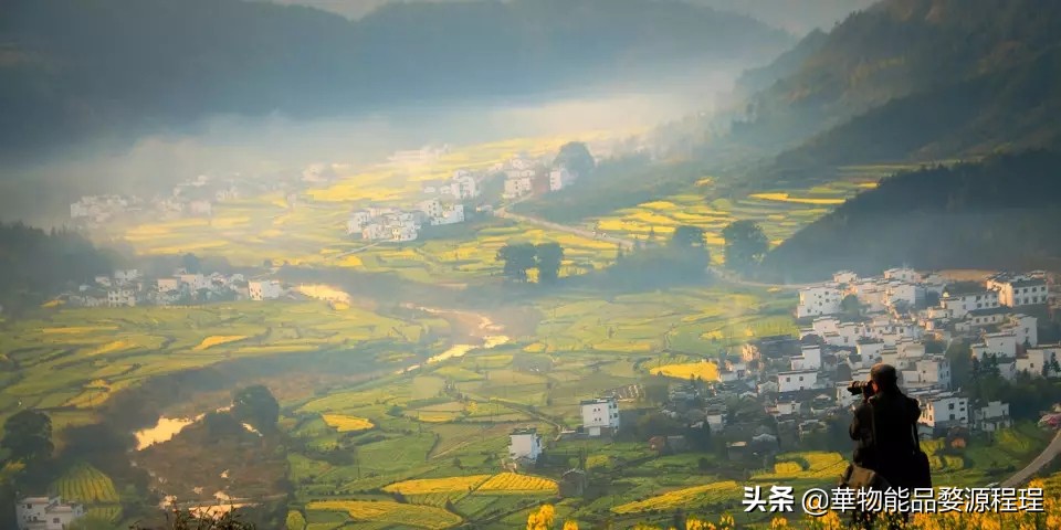 江西婺源油菜花音乐节,婺源油菜花文化节