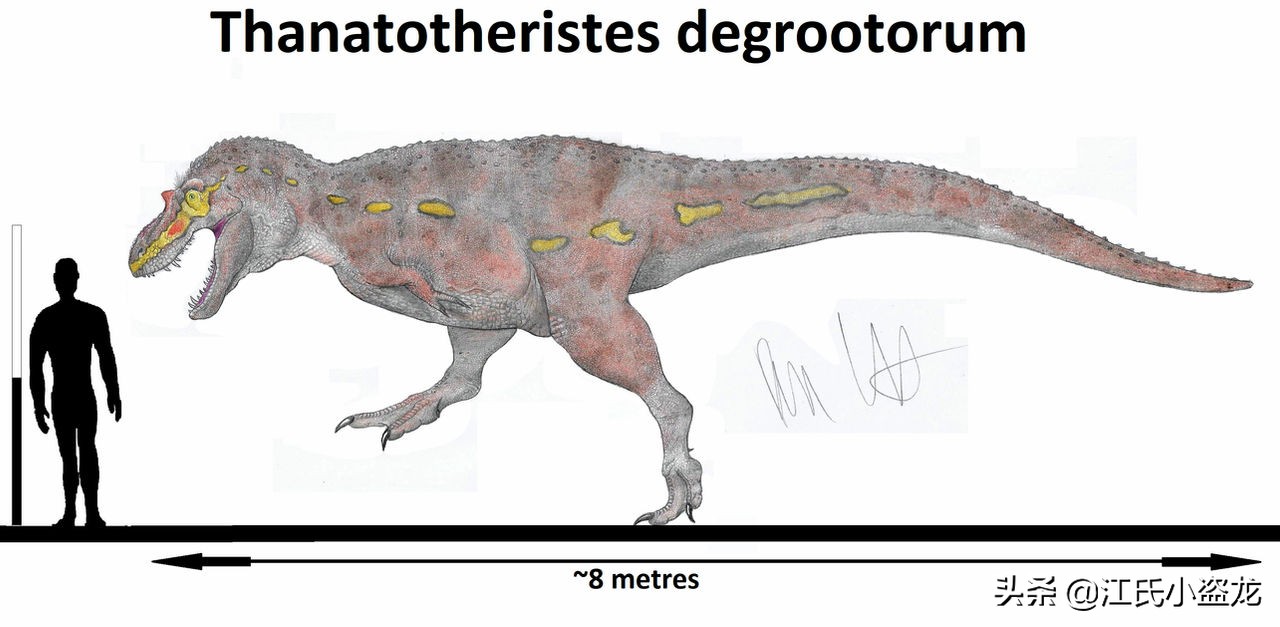 古生物学家发现恐龙新物种,古生物专家介绍侏罗纪