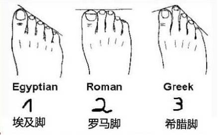 二拇脚趾长不养爹和娘是真的吗,二拇脚趾头长真的不养娘吗