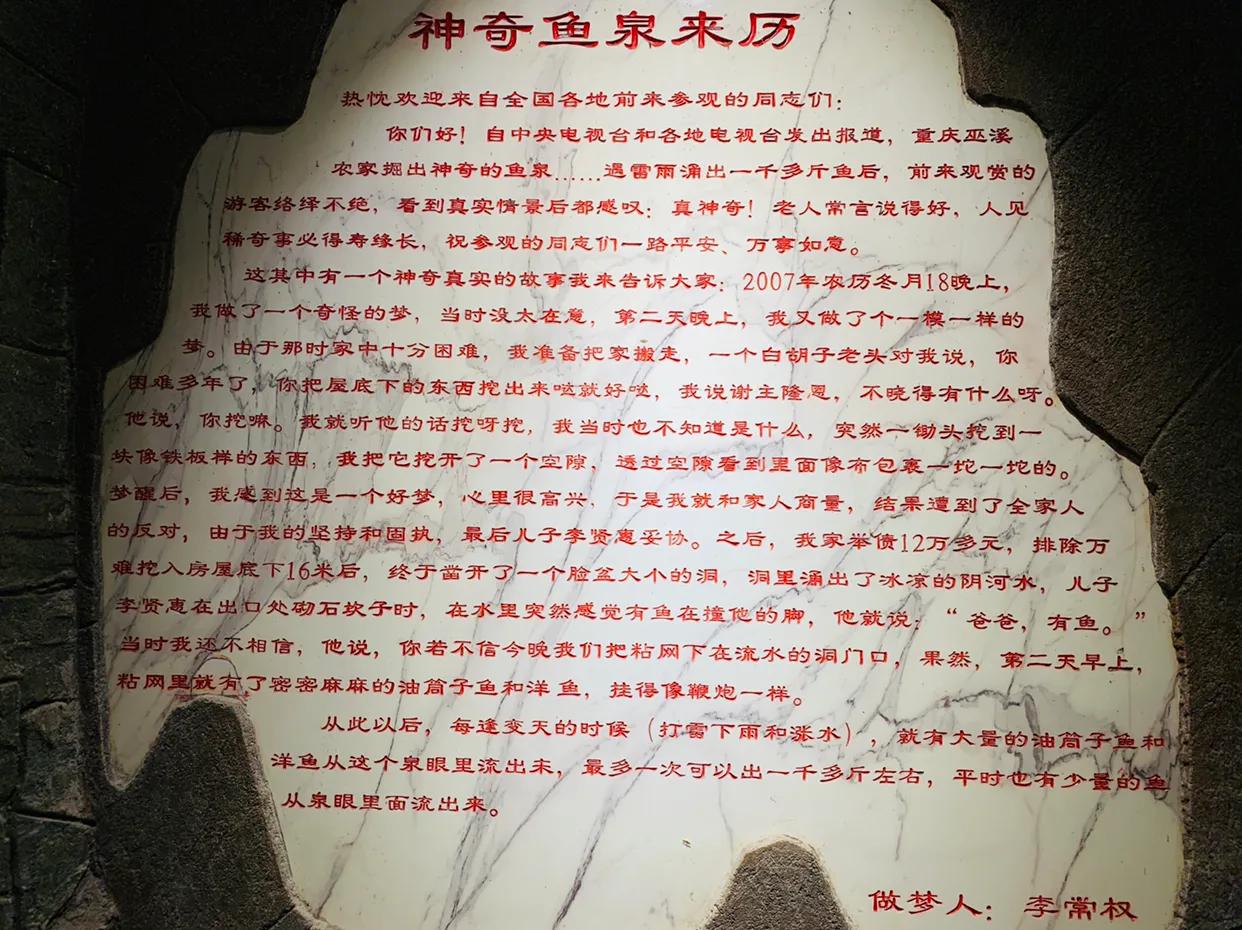 重庆地下鱼泉涌出大量鱼,重庆农户挖出神秘鱼泉在什么地方