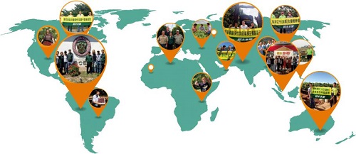 鲜丰“逆行”今年要开800家店，减免加盟费