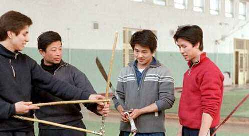 成龙甄子丹李连杰哪个厉害,成龙李连杰谁功夫强