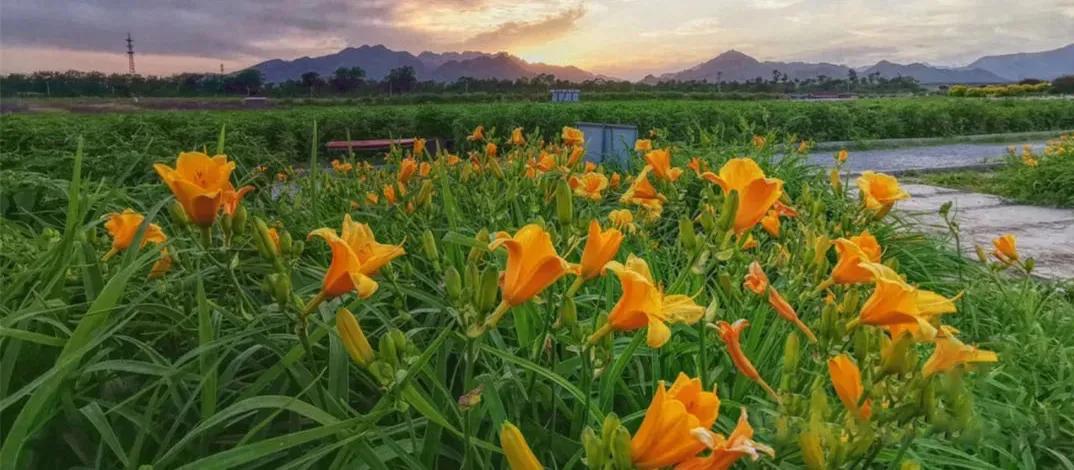 十月的昌平“购意思”，各色活动等您玩转