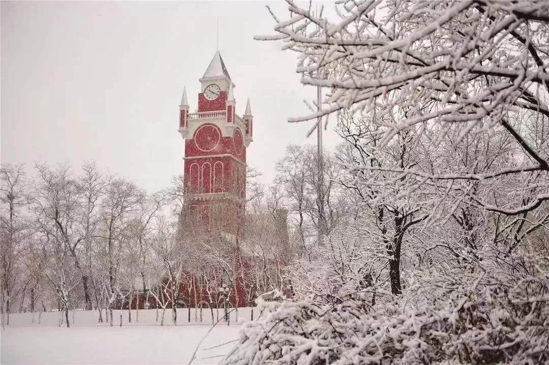 绿岛十大建筑，你pick哪一个—26个字母讲述沈阳城市学院故事之B