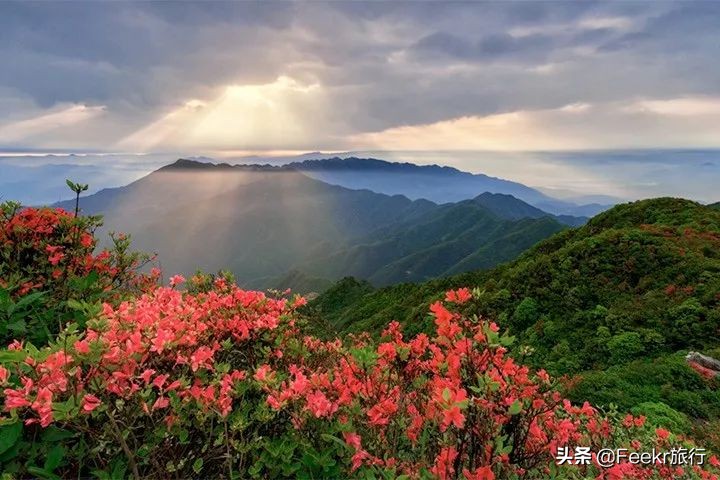 全球最大樱花基地原来就藏在贵州！万亩花海通到湖，机票低至2折
