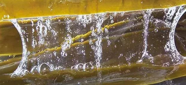 被代购的国货化妆品,被代购的日本药妆