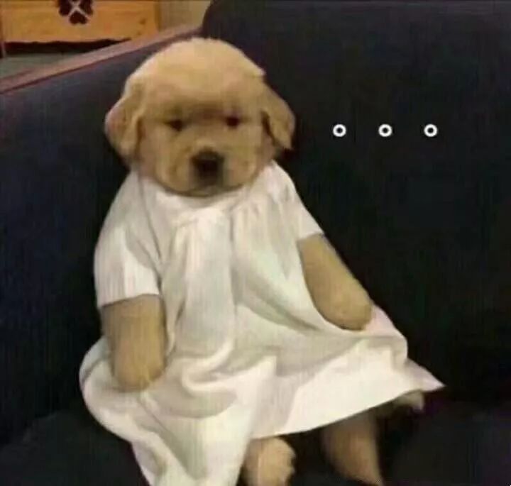 洗车液选购大全,用什么洗车液是最好的