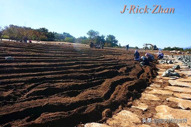 值得参观的国内优秀花园之品鉴（上篇）