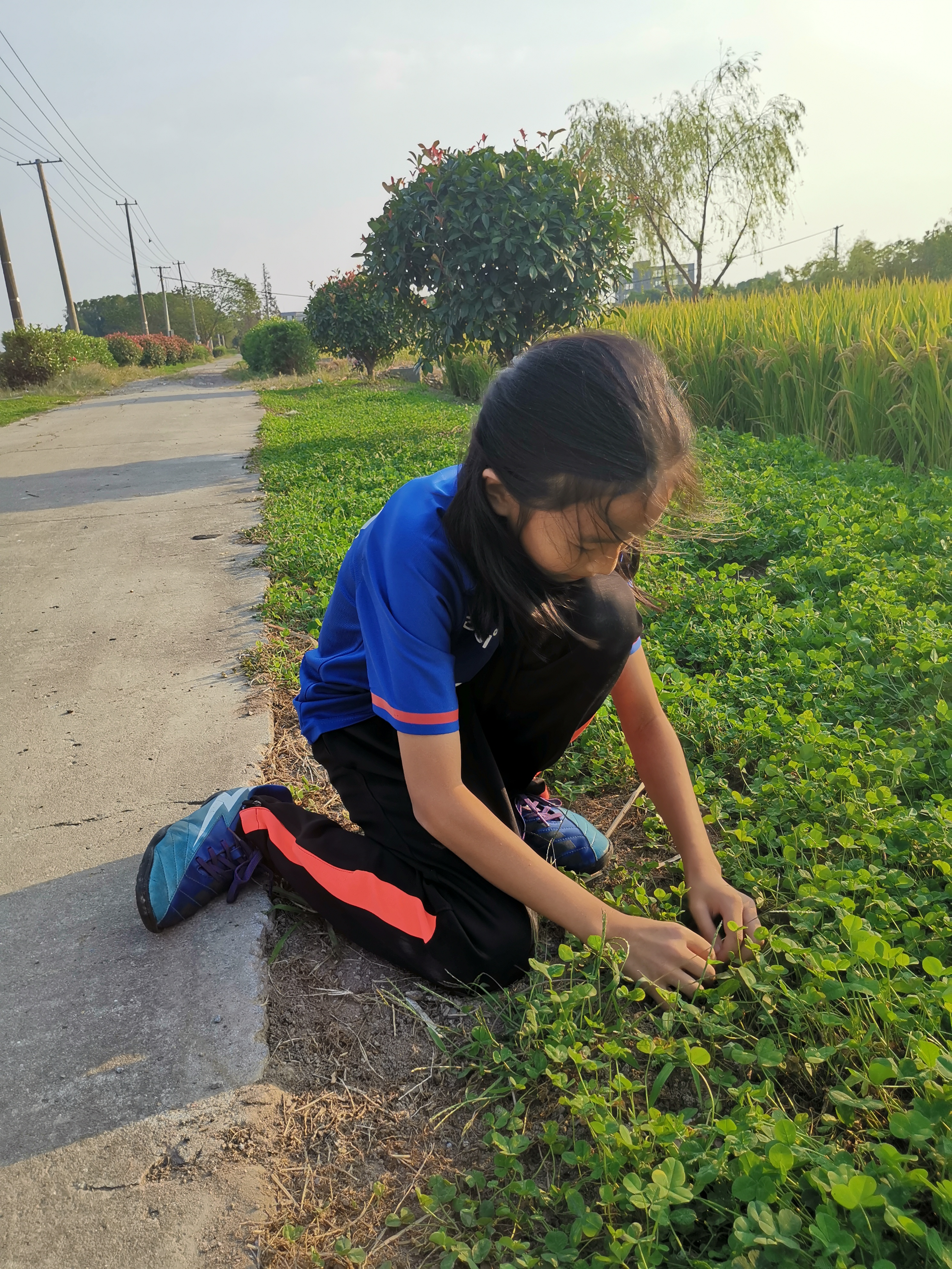 原创:两个孩子从未让我失望过
