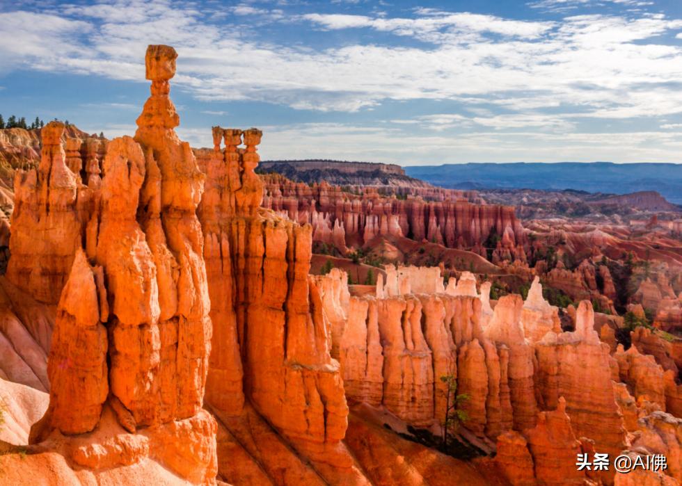 美国最受欢迎的五个州,美国最受欢迎的景点排行榜