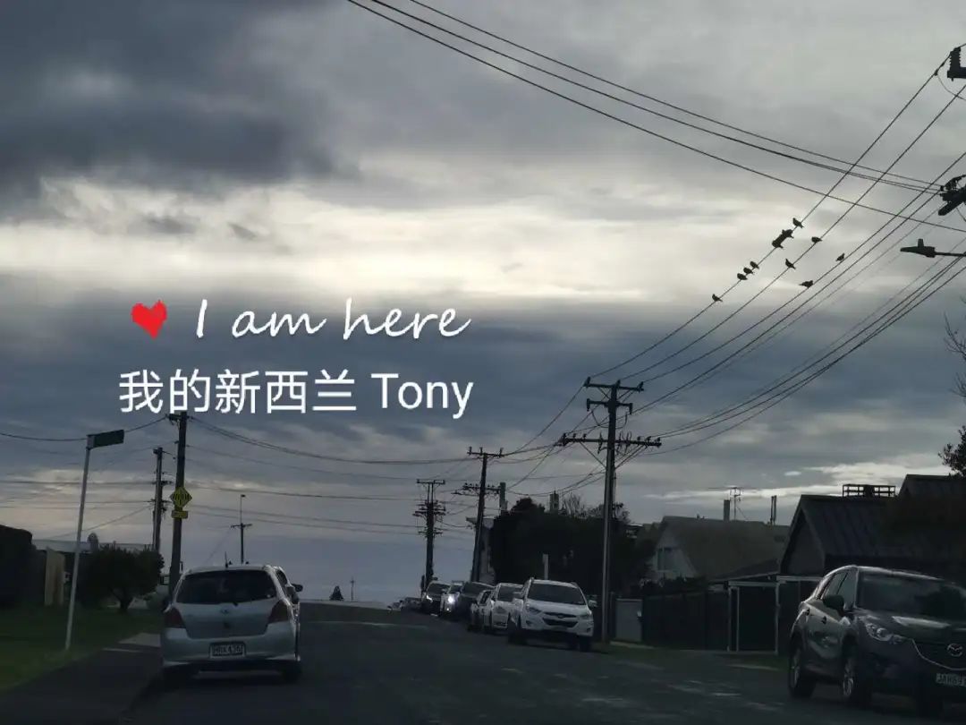 新西兰疫情后复工第一天，你猜我开优步赚了多少钱？