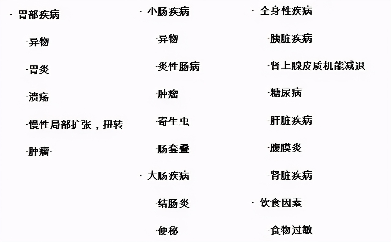 狗狗异物划伤肠道症状,狗狗吃什么润滑肠道利于异物排出